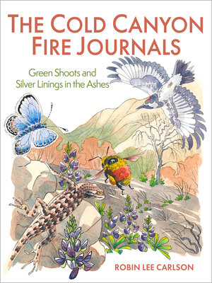 cover image of The Cold Canyon Fire Journals
